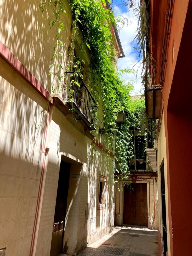 Acogedor Apt 8Pax 4Bdr 2Bth - Cozyhomesevilla1 Exterior photo